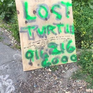 Meet your Posher, Jeffrey